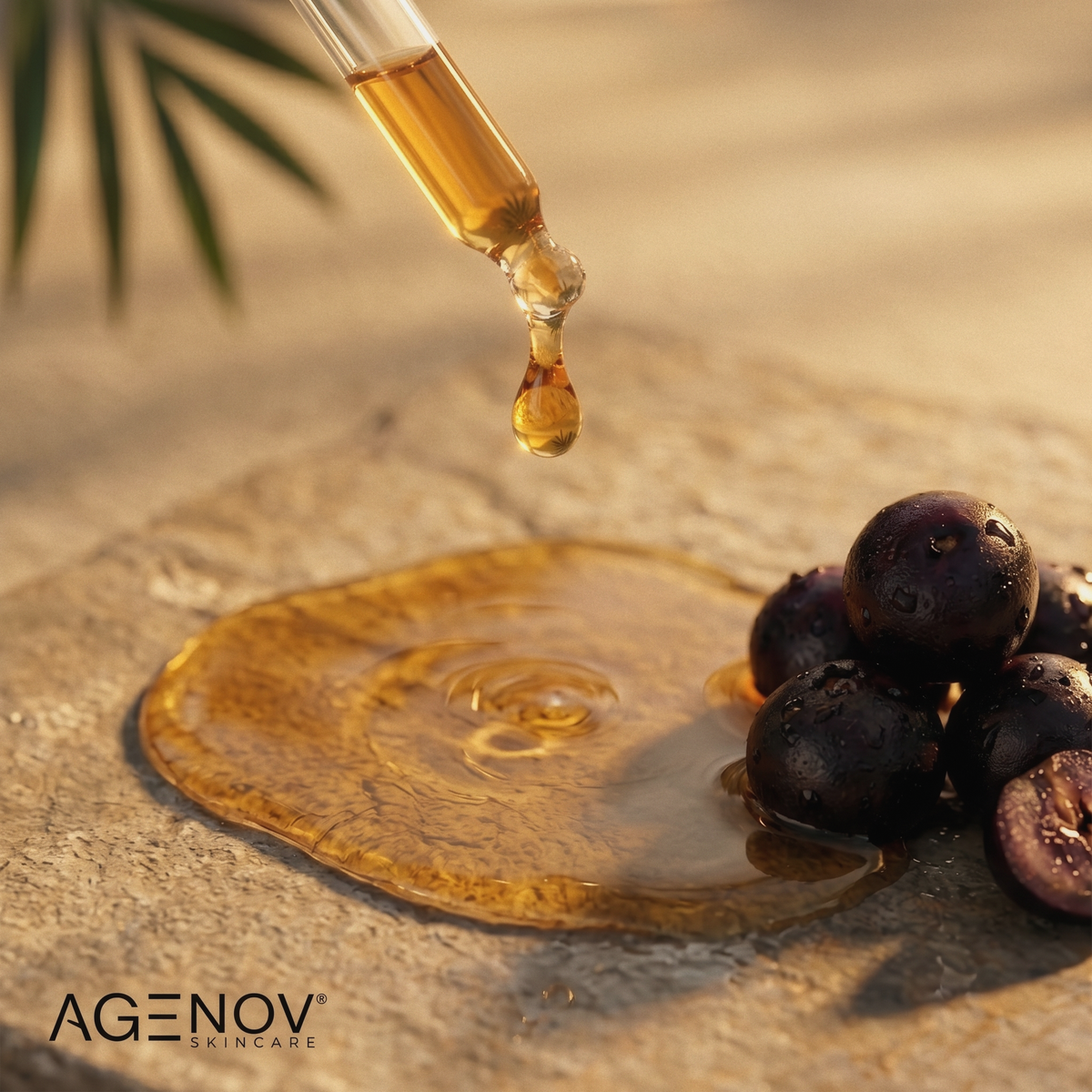 Morning Light Olio Viso - Acai