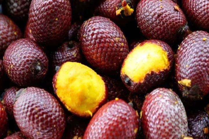 Olio di Buriti dalle palme brasiliane ai cosmetici vegan