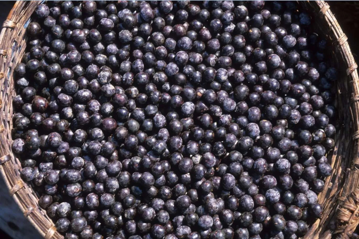 L’Açai proprietà e benefici