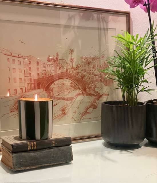foto ambiente con Candela Amazing Garden
