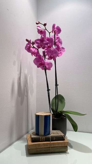 Foto ambiente - Candela Caramel Lovers